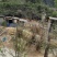 五黑鸡乌骨鸡土鸡山地散养虫草鸡