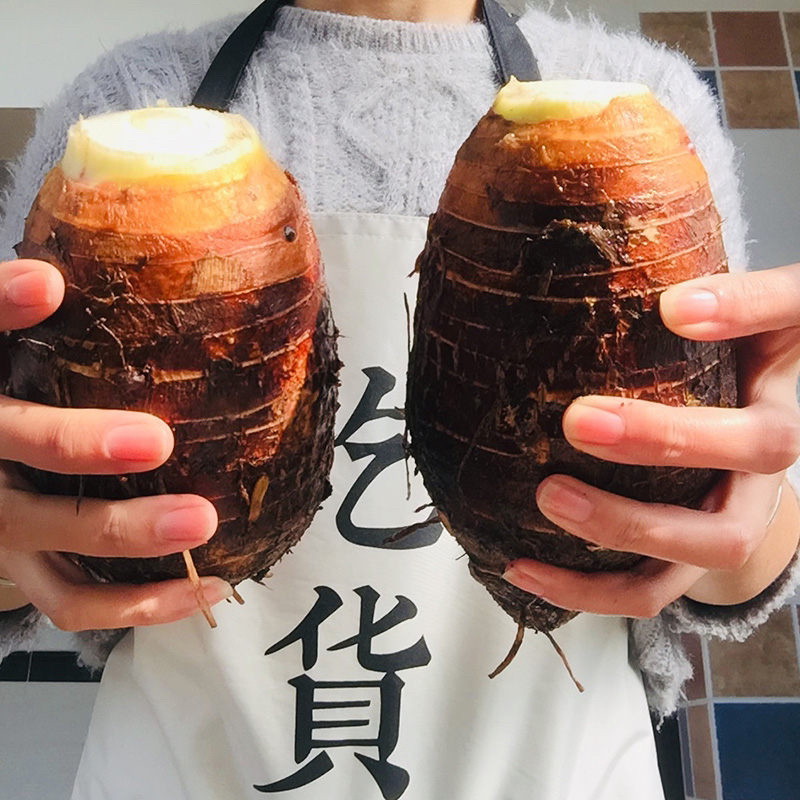 广西荔浦现挖芋头原产地直发支持一件代发