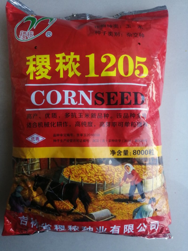 批发玉米种子