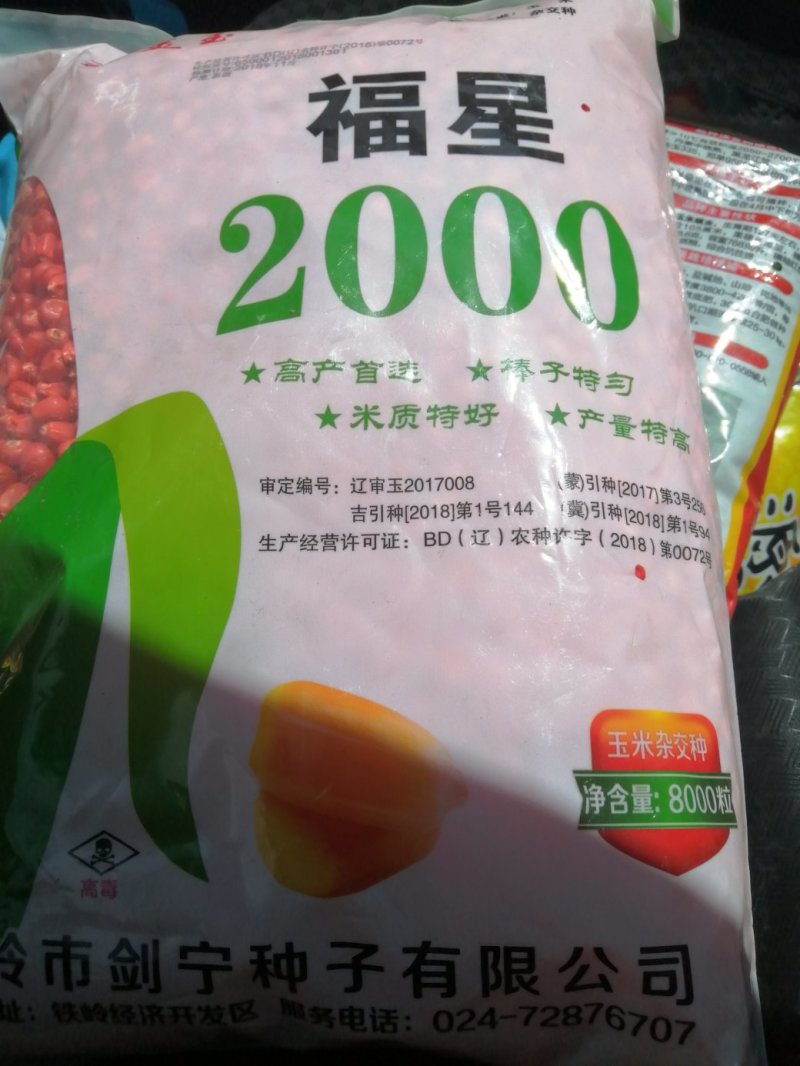 批发玉米种子