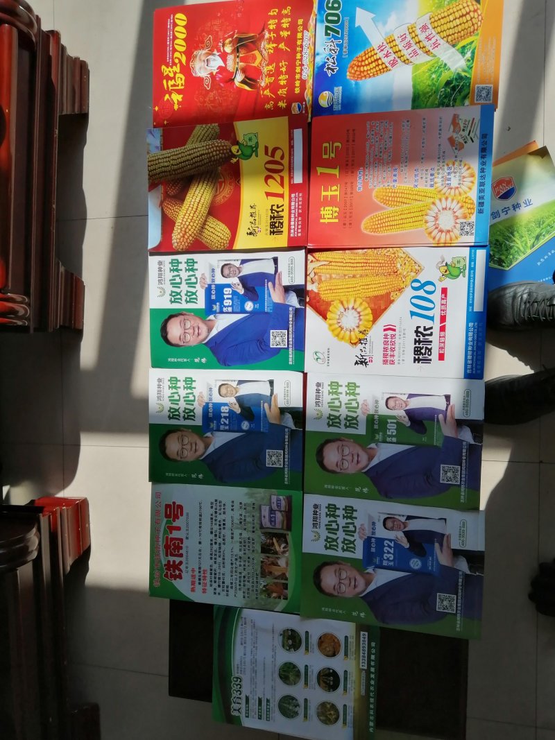 批发玉米种子