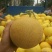 金红脆甜瓜1斤到3斤精品货，大量供应中