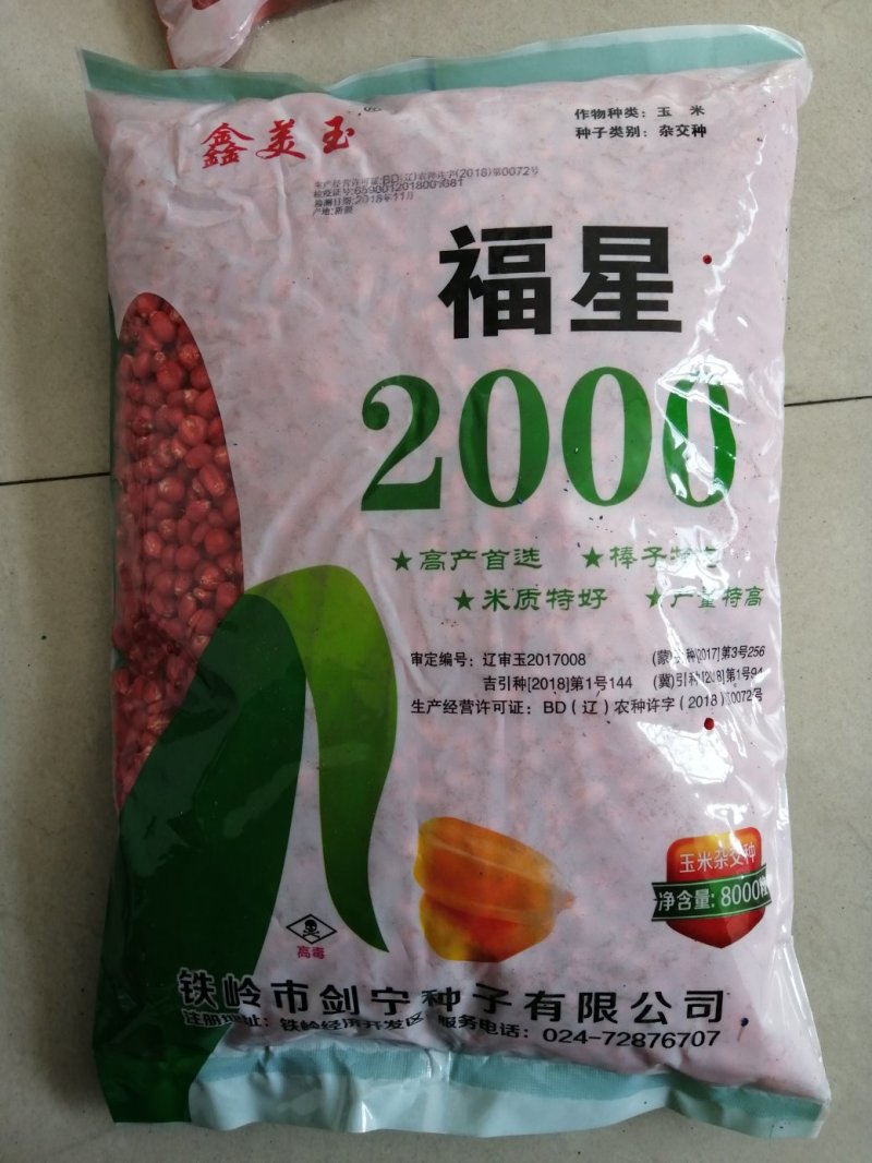 批发玉米种子
