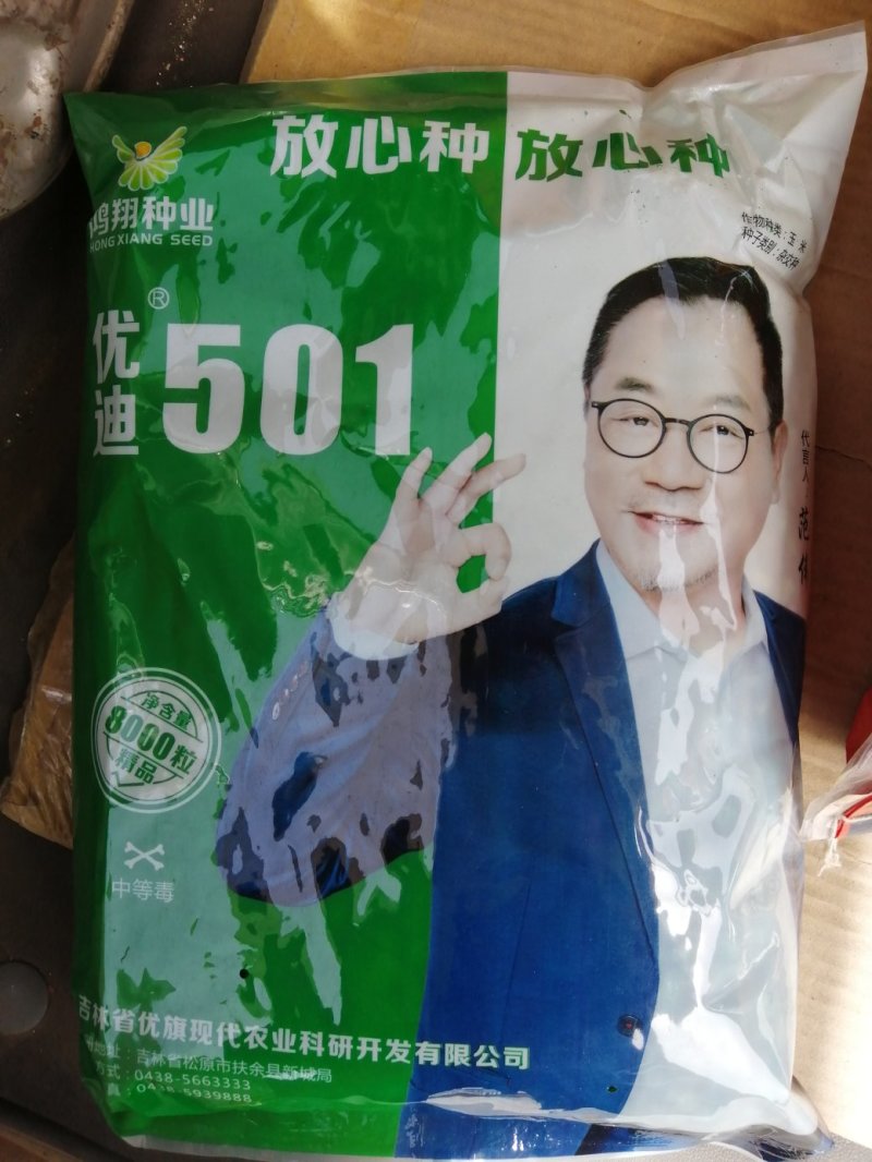 批发玉米种子