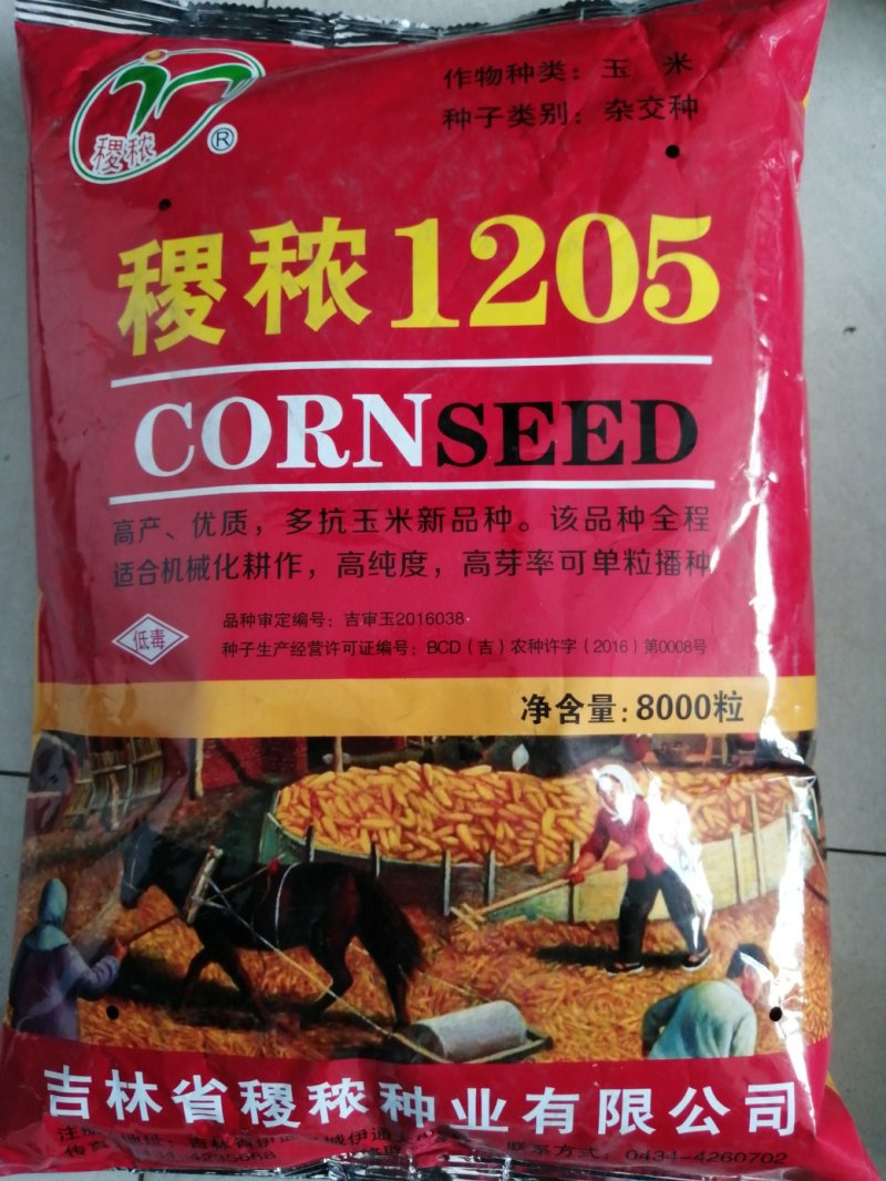 批发玉米种子