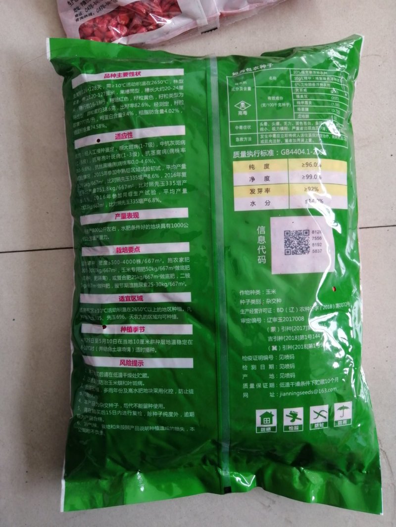 批发玉米种子