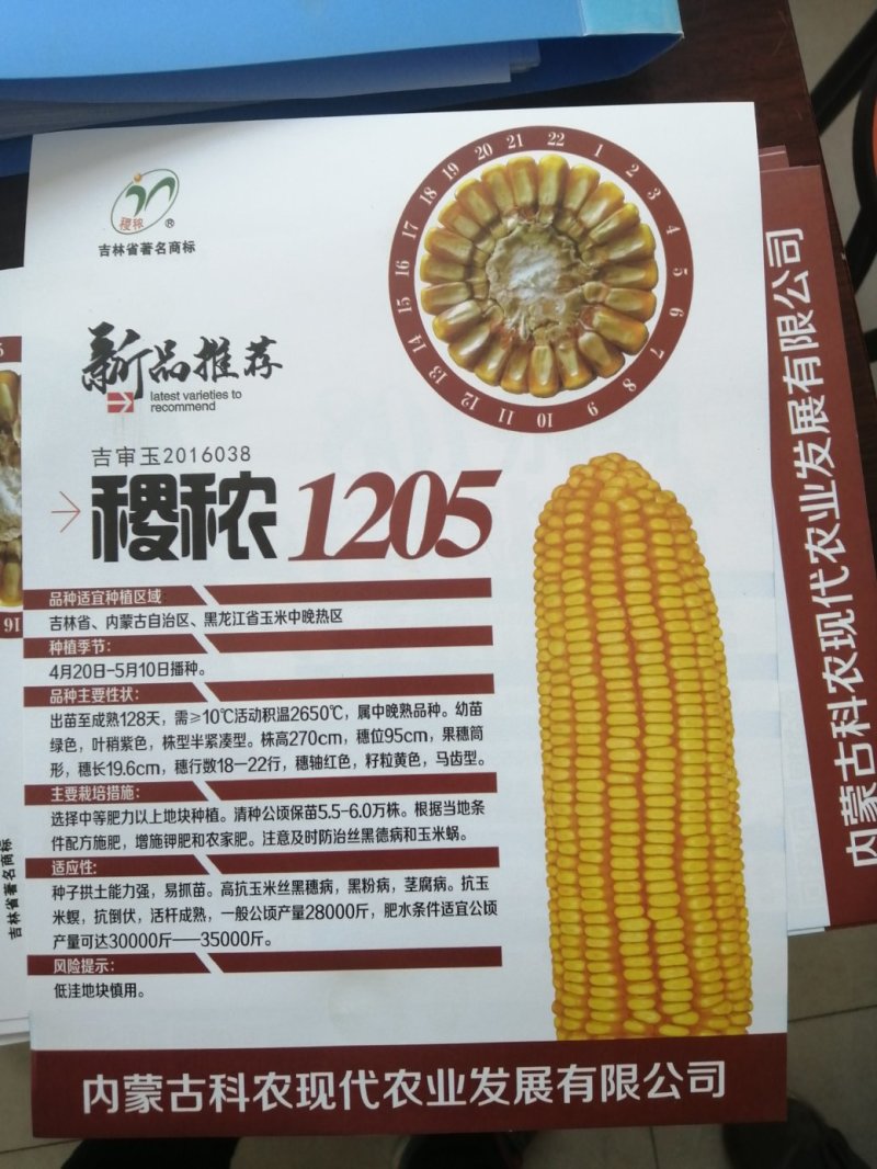 批发玉米种子