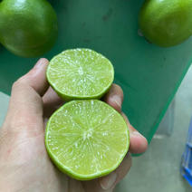 泰国无籽柠檬、国内优力克，香水柠檬，需要的私价