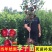 嫁接五月脆李子树苗、包纯度签合同，基地直发，现挖现卖