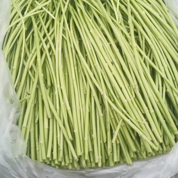 精品净蒿大量出产！产品佳！持续供货