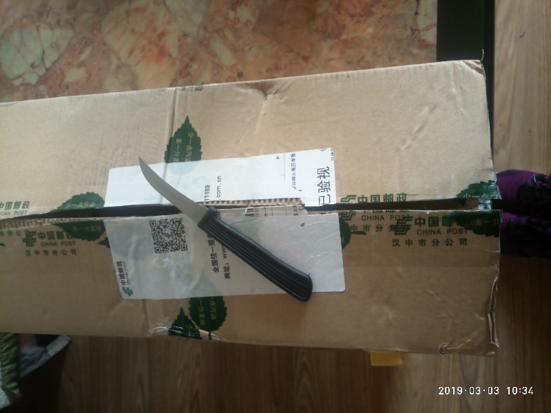 陕西现摘大葱汉中原产地直供支持一件代发