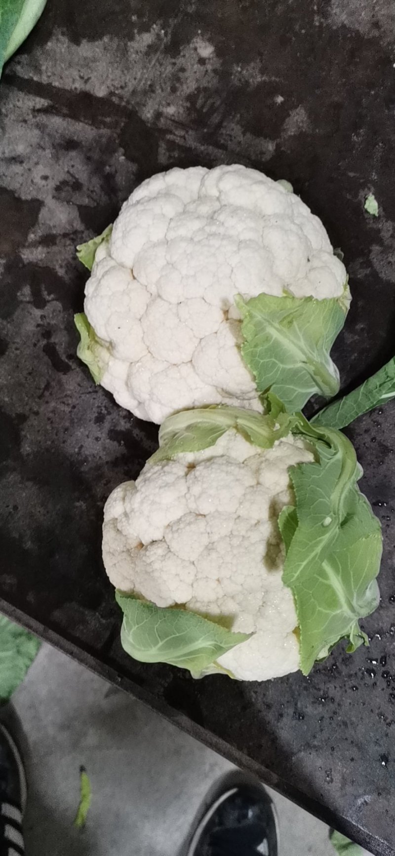 精品实花菜湖北基地直发价格美丽欢迎咨询