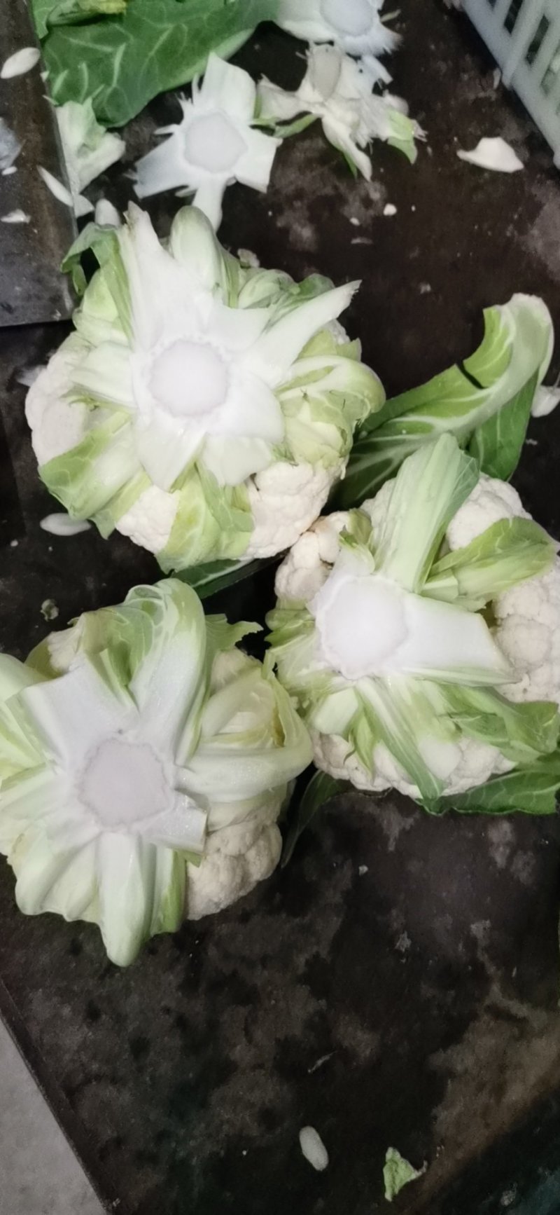 精品实花菜湖北基地直发价格美丽欢迎咨询