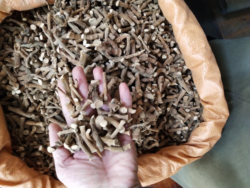 三白草，过塘藕，中药材三白草产地一手货源，批发零售