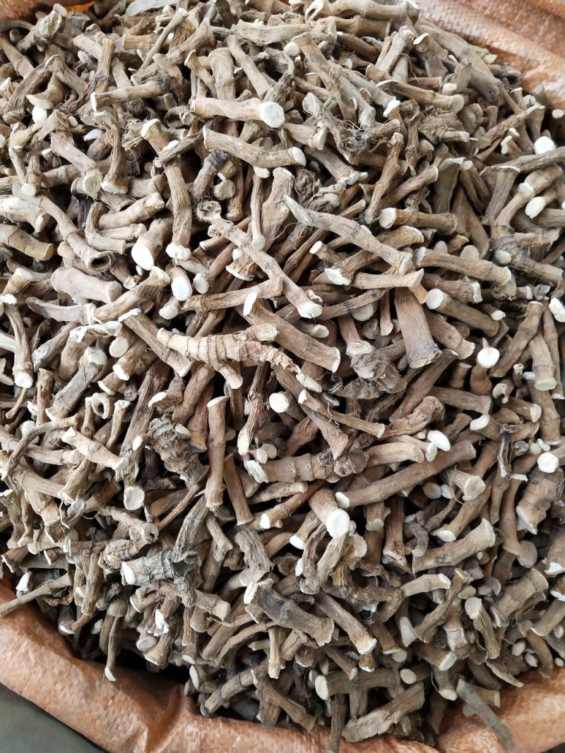 三白草，过塘藕，中药材三白草产地一手货源，批发零售