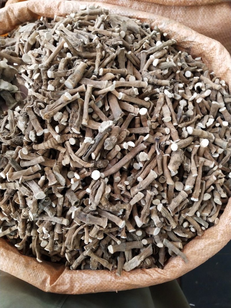 三白草，过塘藕，中药材三白草产地一手货源，批发零售