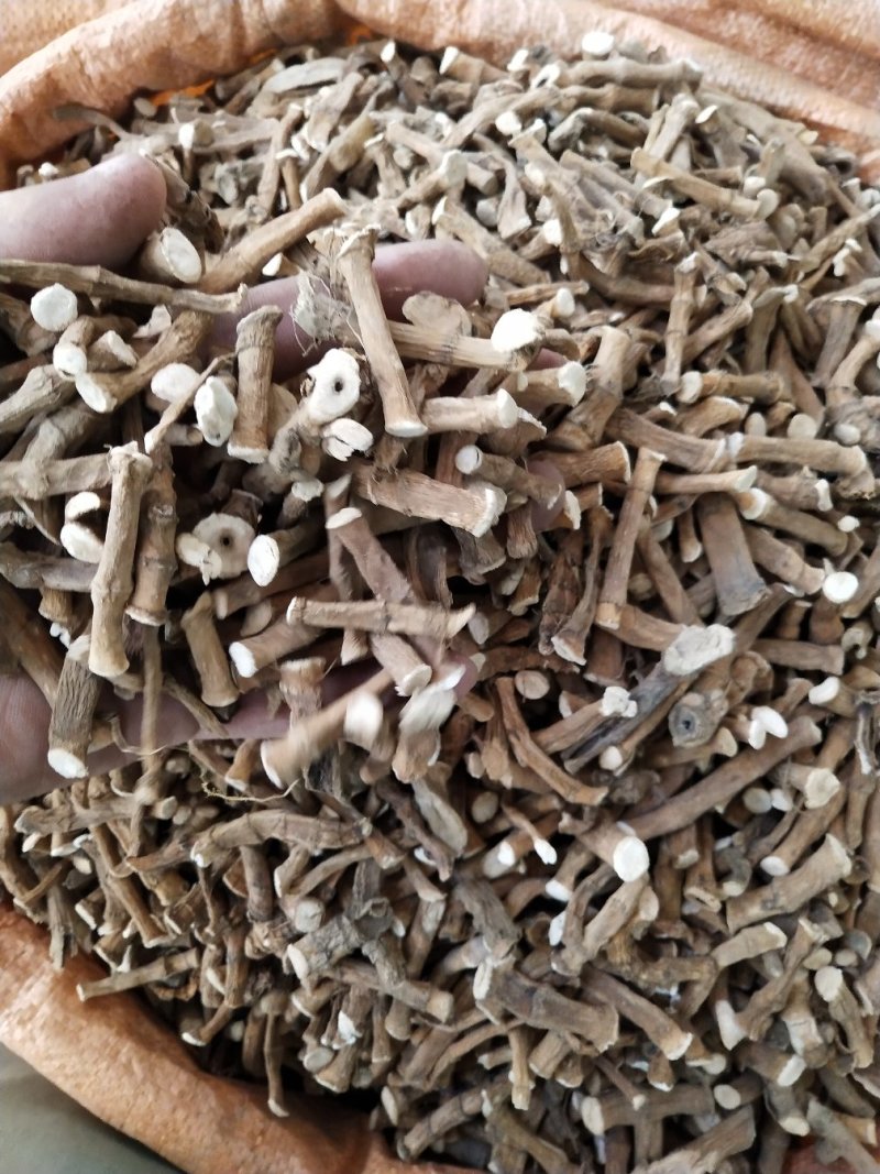 三白草，过塘藕，中药材三白草产地一手货源，批发零售