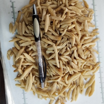 麦冬，中药材麦门冬，批发零售，产地一手货源