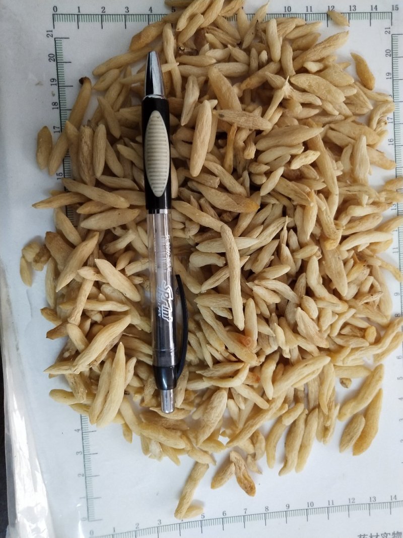 麦冬，中药材麦门冬，批发零售，产地一手货源