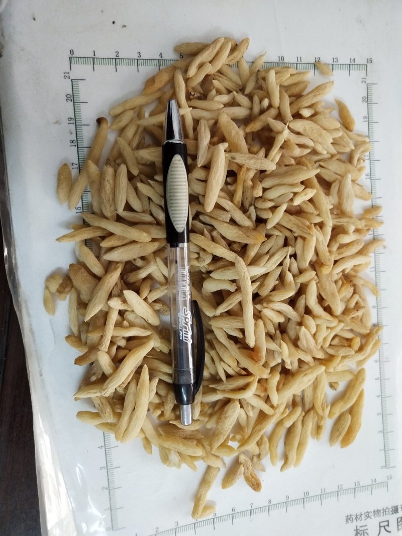 麦冬，中药材麦门冬，批发零售，产地一手货源