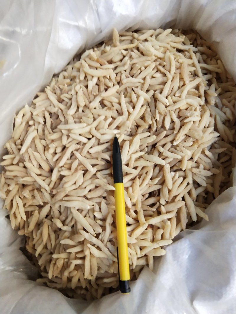 麦冬，中药材麦门冬，批发零售，产地一手货源