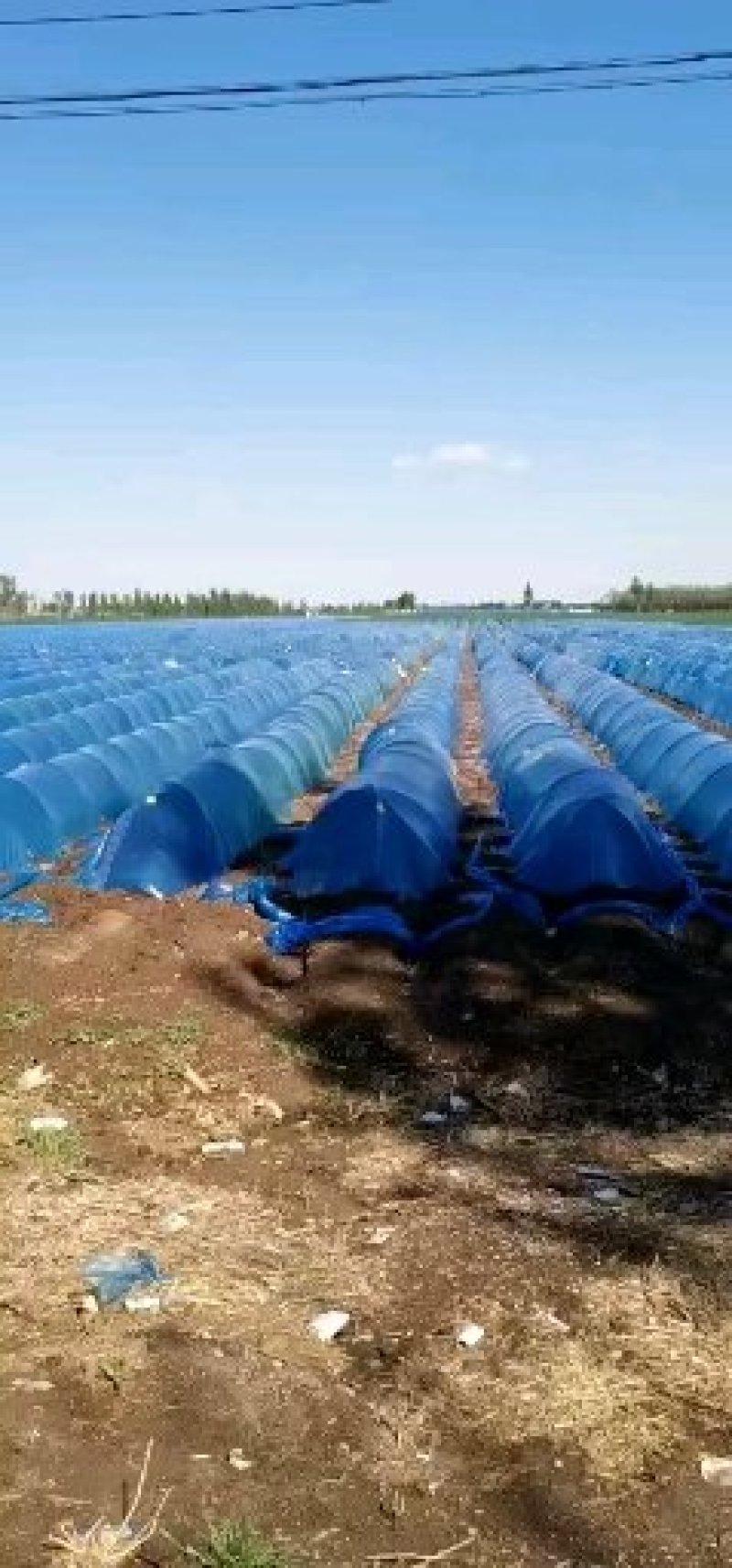 西瓜葡萄蔬菜二棚弓子厂家直销农用玻璃纤维杆弹力棒拱棚杆