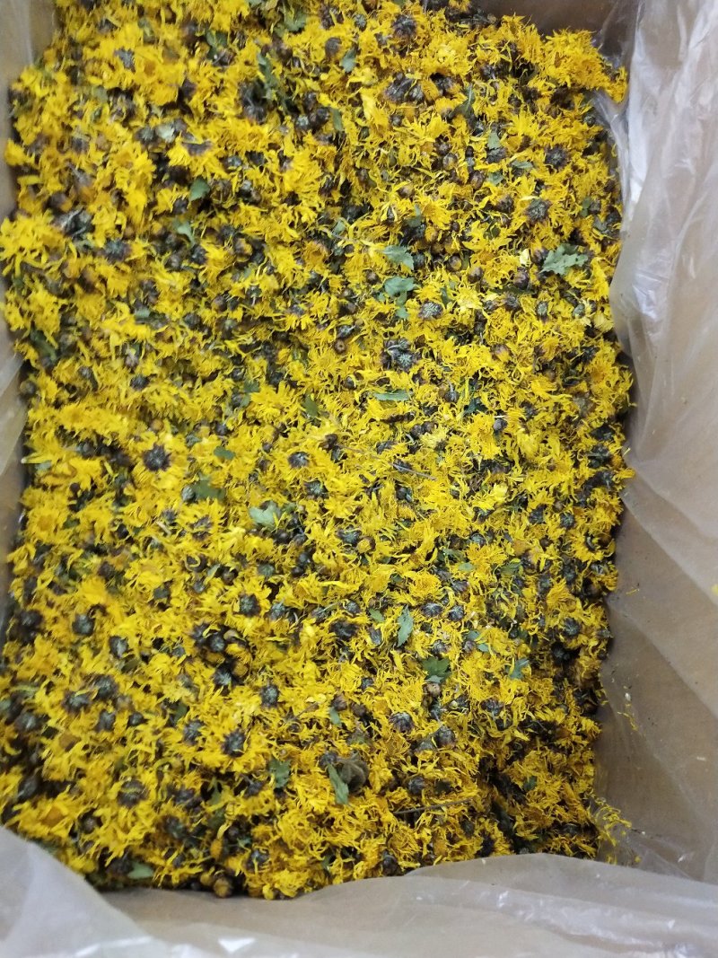 中药材黄贡菊，黄山贡菊产地一手货源，批发、零售
