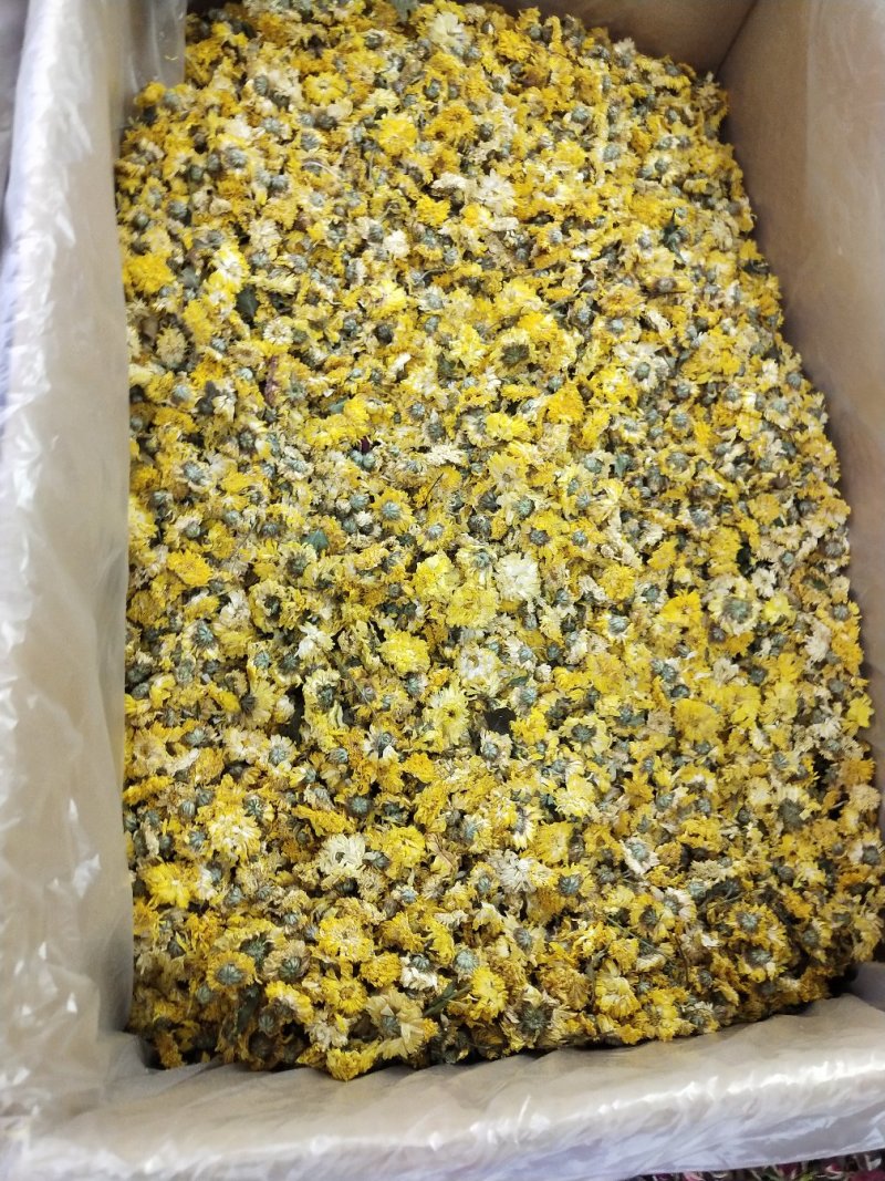 中药材黄贡菊，黄山贡菊产地一手货源，批发、零售