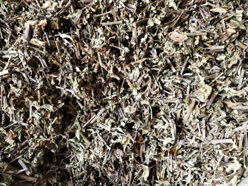 猫须草，肾茶，中药材猫须草，批发零售