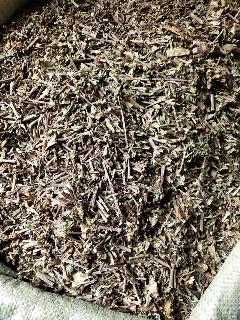 猫须草，肾茶，中药材猫须草，批发零售