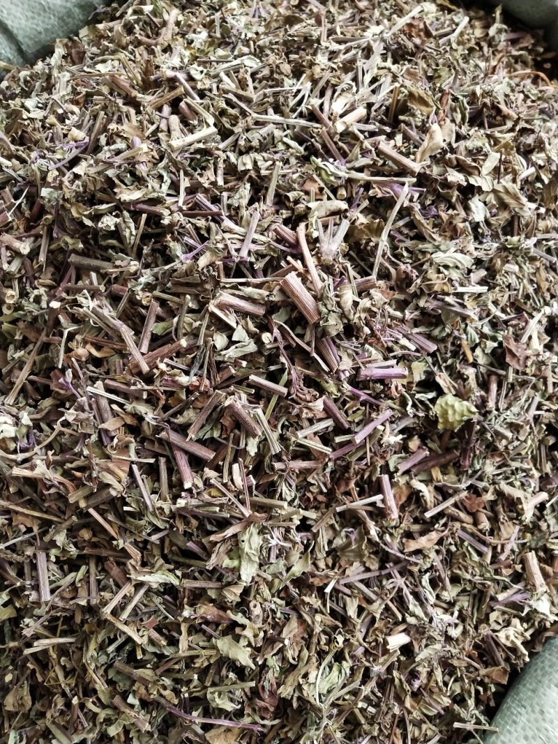 猫须草，肾茶，中药材猫须草，批发零售