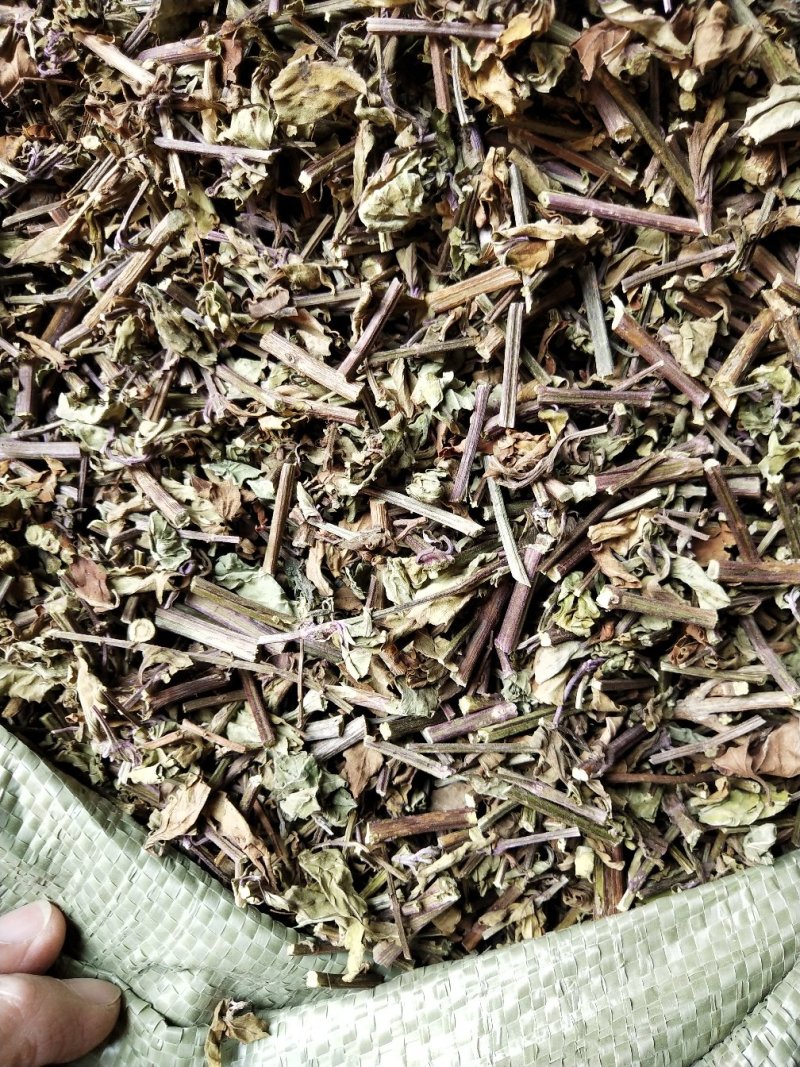 猫须草，肾茶，中药材猫须草，批发零售