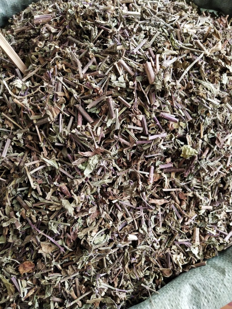猫须草，肾茶，中药材猫须草，批发零售