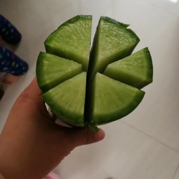 大棚青茬潍县青萝卜大量现货，可供电商，零售，市场批