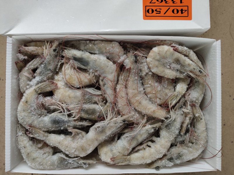 南美对虾40/50盐冰