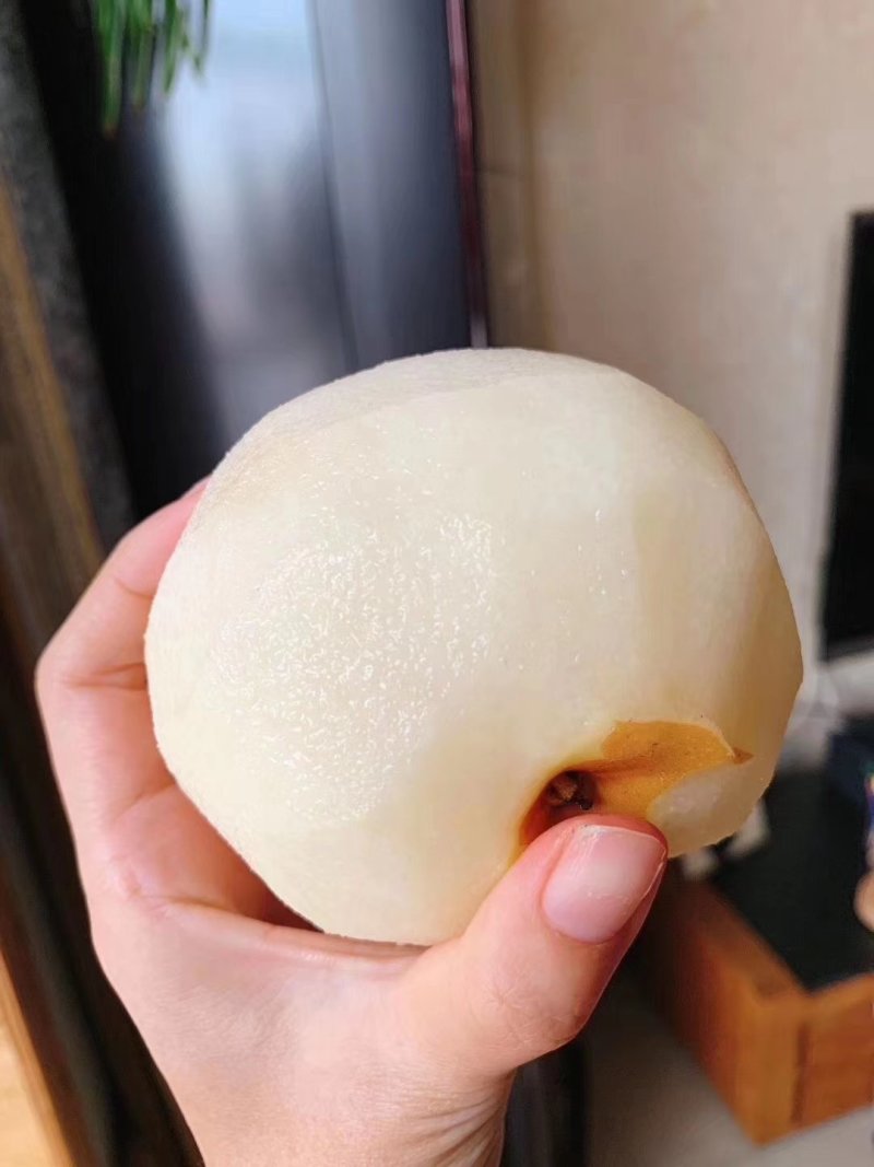 莱阳秋月梨脆甜多汁收到冰箱保鲜南水梨非雪梨一件代发