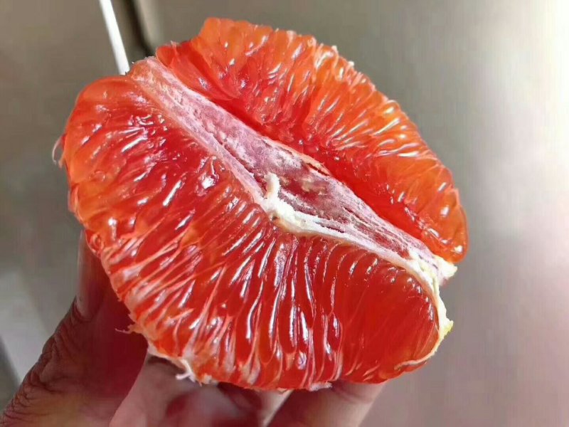 中华红橙血橙红肉红心橙子脐橙视频看货产地直发