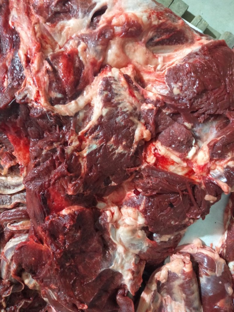 箱装冻驴肉，好箱好货，可视频看货，支持平台交易