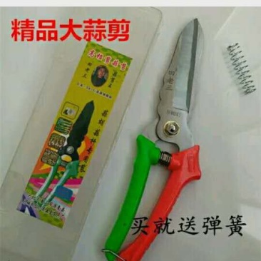 大蒜剪蒜胡剪洋葱胡子剪药材剪