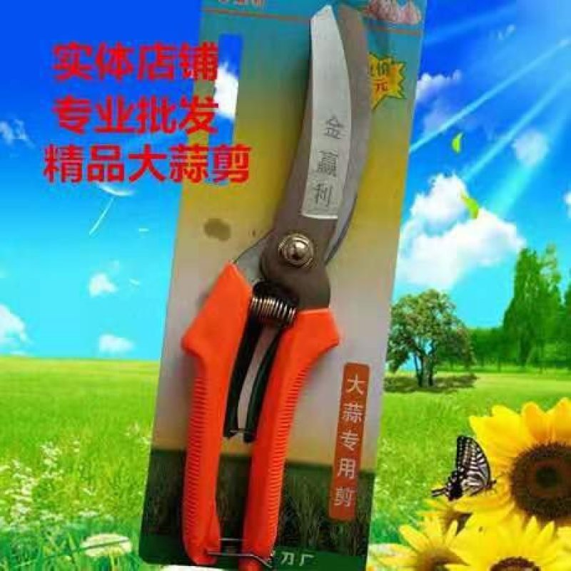 大蒜剪蒜胡剪洋葱胡子剪药材剪