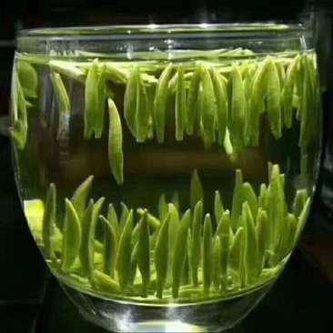 龙牙