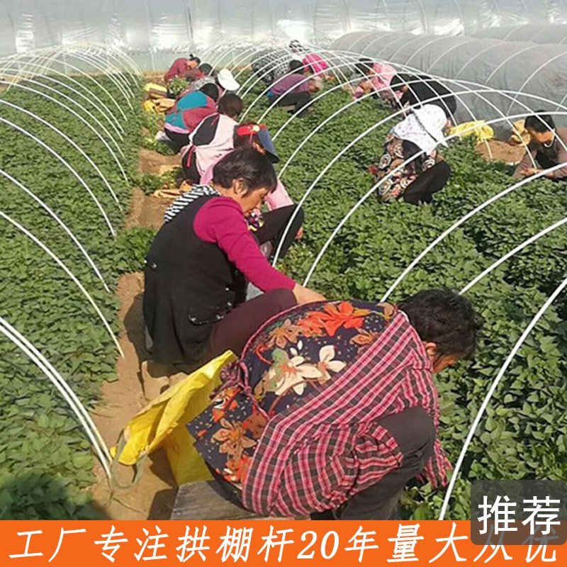 小拱棚，杯苗西瓜拱棚杆，玻璃纤维杆弓棚支架弓子弹力棒