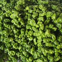 麻辣椒