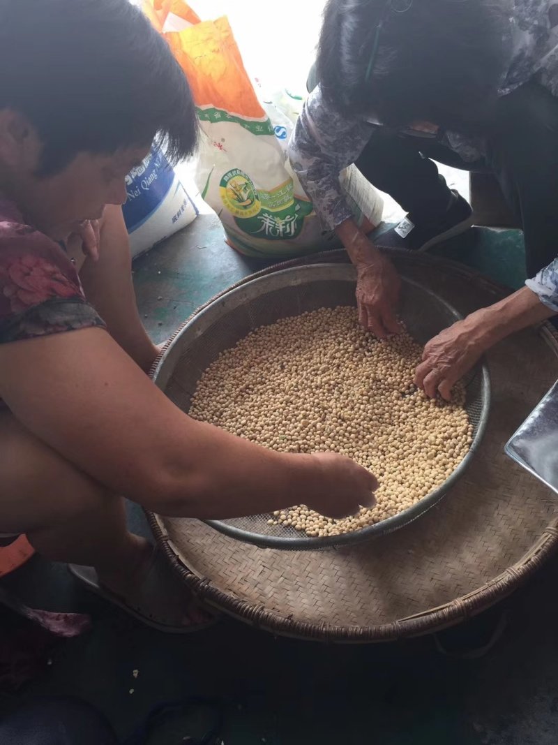 烟熏豆腐干湖南农村味道豆腐干小时候最爱味道一件代发