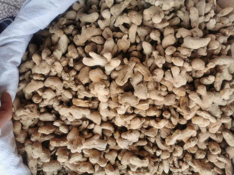炮姜新货无硫正品香料量大从优