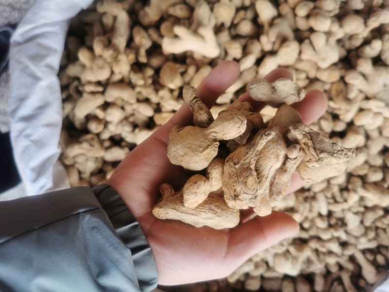 炮姜新货无硫正品香料量大从优