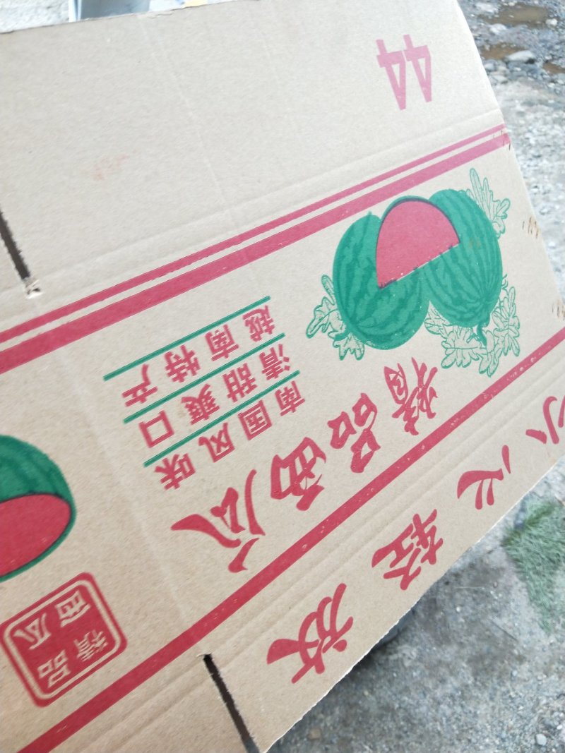 精品甜王西瓜大量上市，需要货可以联系