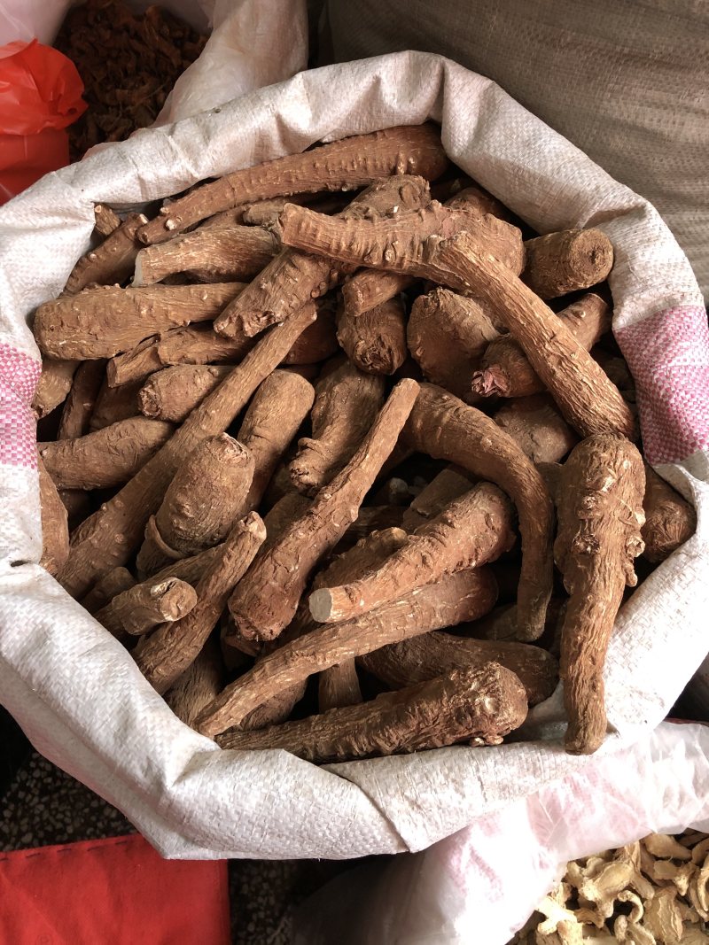 川白芷无硫正品中药材量大从优