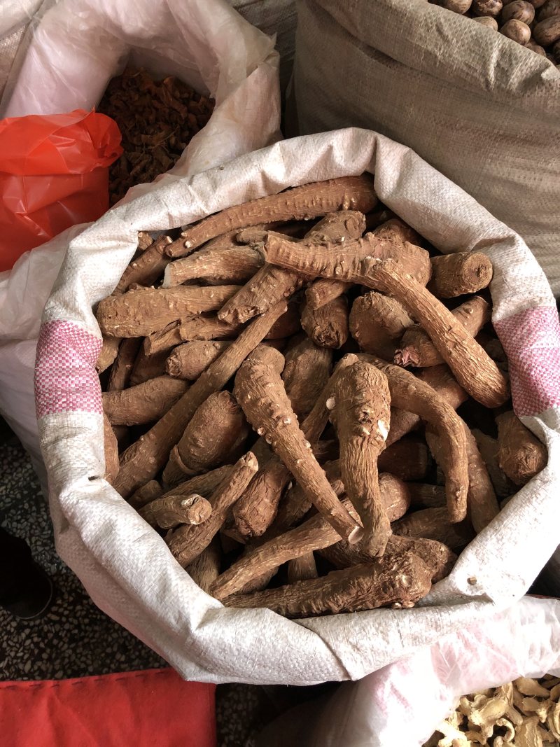 川白芷无硫正品中药材量大从优