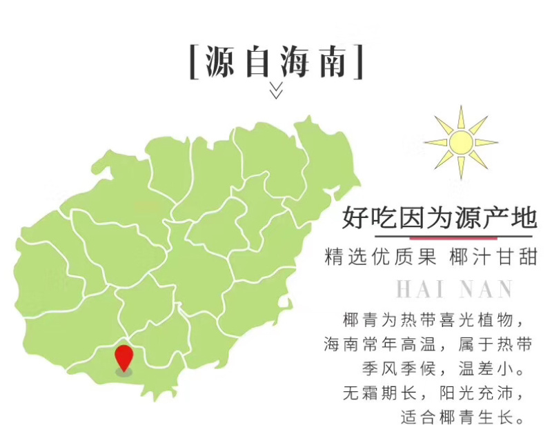 海南文昌椰青新鲜椰汁非泰国椰青支持批发代发